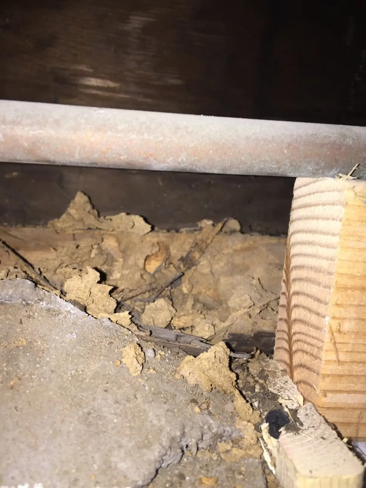 Selling a house with foundation problems in Mastic: crumbling block foundation in a crawl space